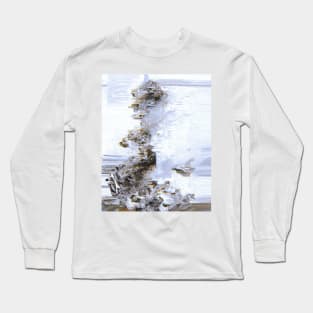 Crown of Truths Long Sleeve T-Shirt